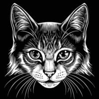 a cat's head in a black and white drawing vector