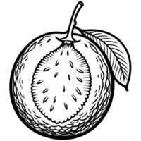 an illustration of a fruit with leaves vector