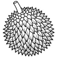 coloring page of durian fruit vector