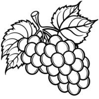 grapes coloring pages vector
