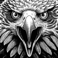 an eagle head with open mouth and open beak vector