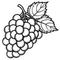 grapes coloring pages vector