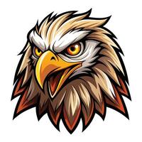 an eagle head with a big beak vector