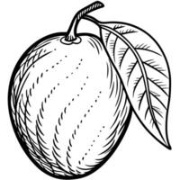 a black and white drawing of a mango with leaves vector
