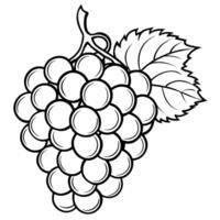grapes coloring pages vector