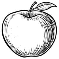 an apple is drawn in black and white on a white background vector