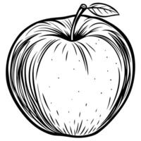 an apple is drawn in black and white on a white background vector