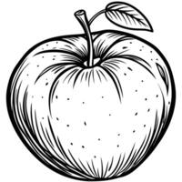 an apple is drawn in black and white on a white background vector