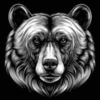 a bear head in a black and white drawing style vector