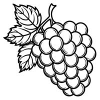 grapes coloring pages vector
