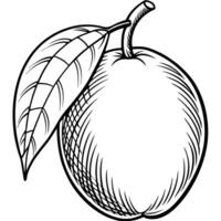 an apple with leaves and a leaf on it vector