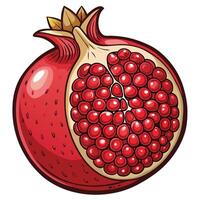 a pomegranate is shown in a cartoon style vector