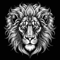 lion head with long mane and long hair on a black background vector