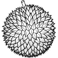 a black and white drawing of a durian fruit vector