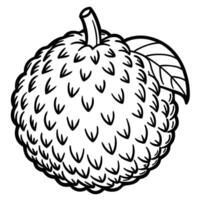 a black and white drawing of a lychee fruit vector