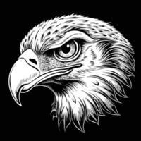 eagle head on black background vector