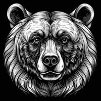 the head of a bear in a woodcut style vector