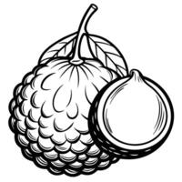 a black and white drawing of a lychee fruit vector