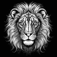 lion head in a black and white drawing style vector