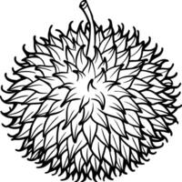 durian fruit coloring pages vector