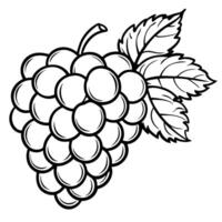 grapes coloring pages vector
