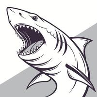 shark with open mouth and teeth on white background vector