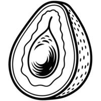 avocado fruit illustration vector