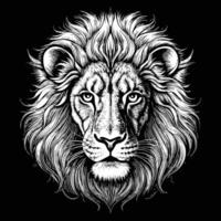 lion head with long mane on black background vector