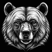 a bear head in a woodcut style on a black background vector