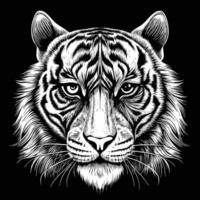 a tiger head on a black background vector