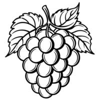 grapes coloring pages vector