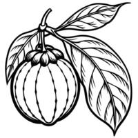 cocoa bean with leaves and fruit in black and white vector