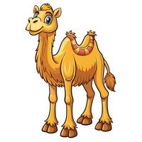 cartoon camel standing on white background vector