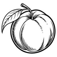 a black and white drawing of a peach vector