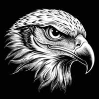 eagle head in a black and white drawing style vector