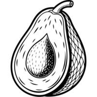 a black and white drawing of an avocado vector