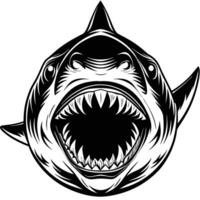 shark head with open mouth and teeth vector