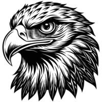 an eagle head in a woodcut style vector