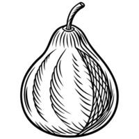 a black and white drawing of a pear vector