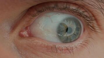 fermer de Humain œil tournant dans différent directions. macro coup de Masculin globe oculaire avec bleu iris, cils et peau texture autour œil. video