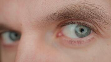 Intense gaze with gray eyes. Man looks curiously into camera video