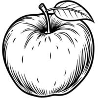 an apple is drawn in a black and white style vector