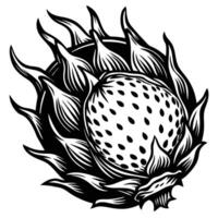 a black and white drawing of a fruit with leaves vector