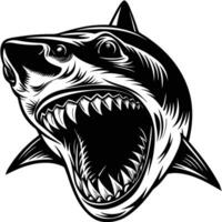 shark head with open mouth and teeth vector