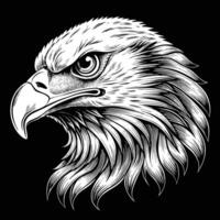 eagle head on black background vector