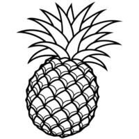 pineapple coloring pages vector