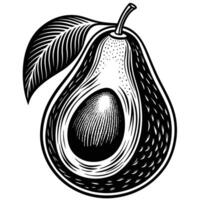 an avocado with leaves and a slice of fruit vector