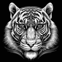 a tiger head in a black and white drawing style vector