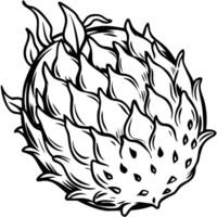 a black and white drawing of a fruit vector