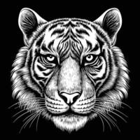 a tiger head in a black and white drawing vector